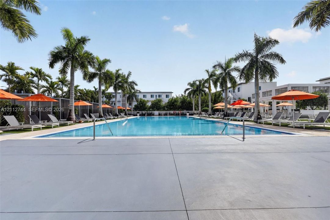 Swimming pool featuring a rectangular basin, concrete pool deck, and palm tree landscaping