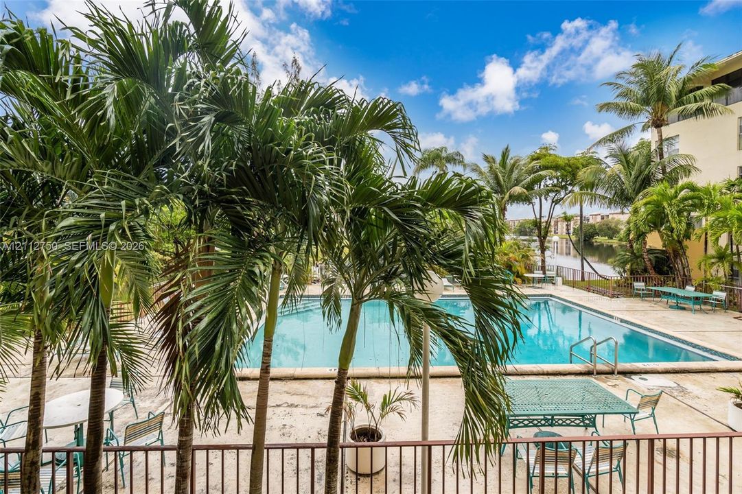 Outdoor swimming pool featuring a concrete deck, metal perimeter fencing, and mature palm trees