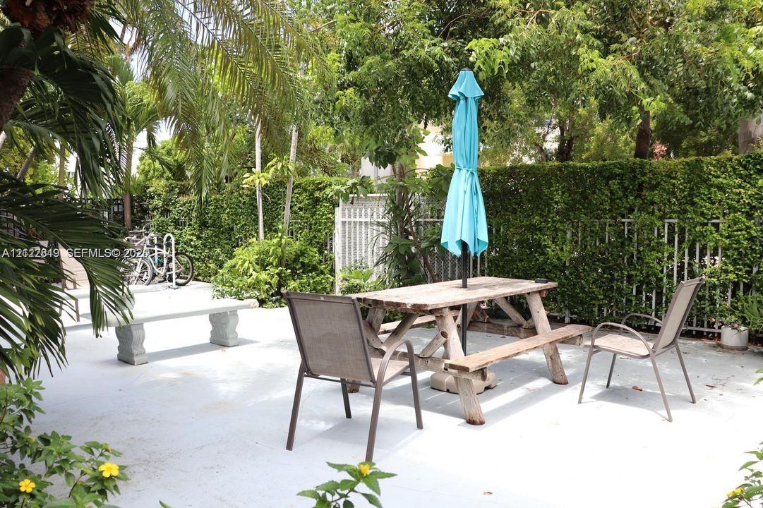 Concrete patio featuring a stone bench, mature palm trees, perimeter hedging, and metal fencing