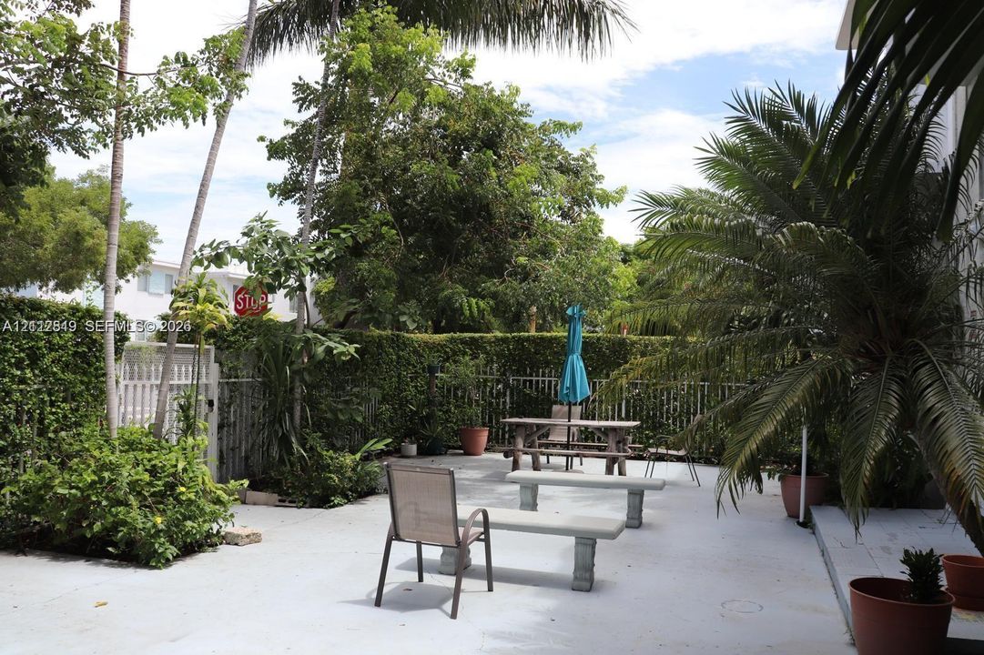 Outdoor patio featuring concrete surfacing, mature palm trees, perimeter shrubbery, and metal fencing