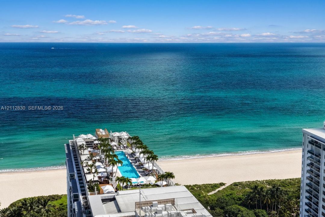 Elevated oceanfront terrace featuring an expansive lap pool, integrated palm tree landscaping, and paved sun deck surfaces