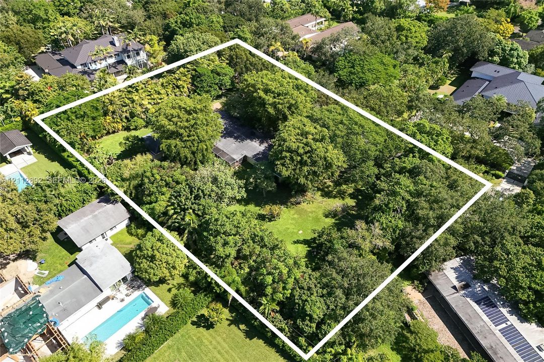 Expansive lot featuring mature trees, abundant canopy coverage, and established landscaping