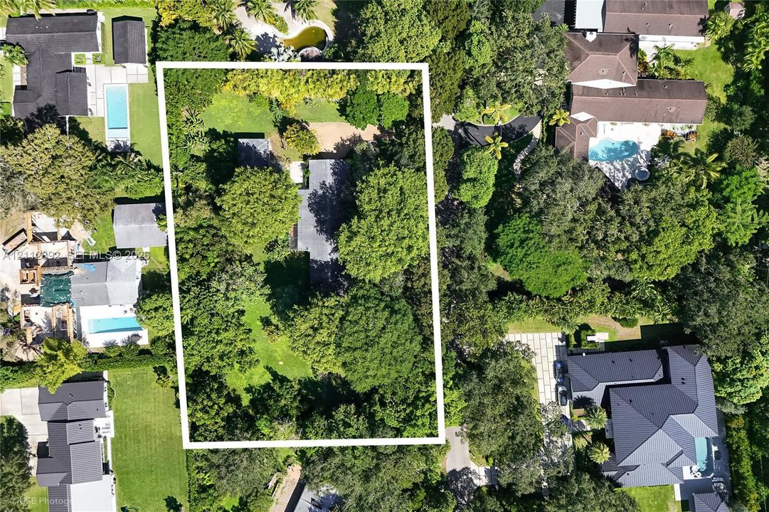 Expansive lot featuring mature trees, substantial lawn area, and paved driveway access