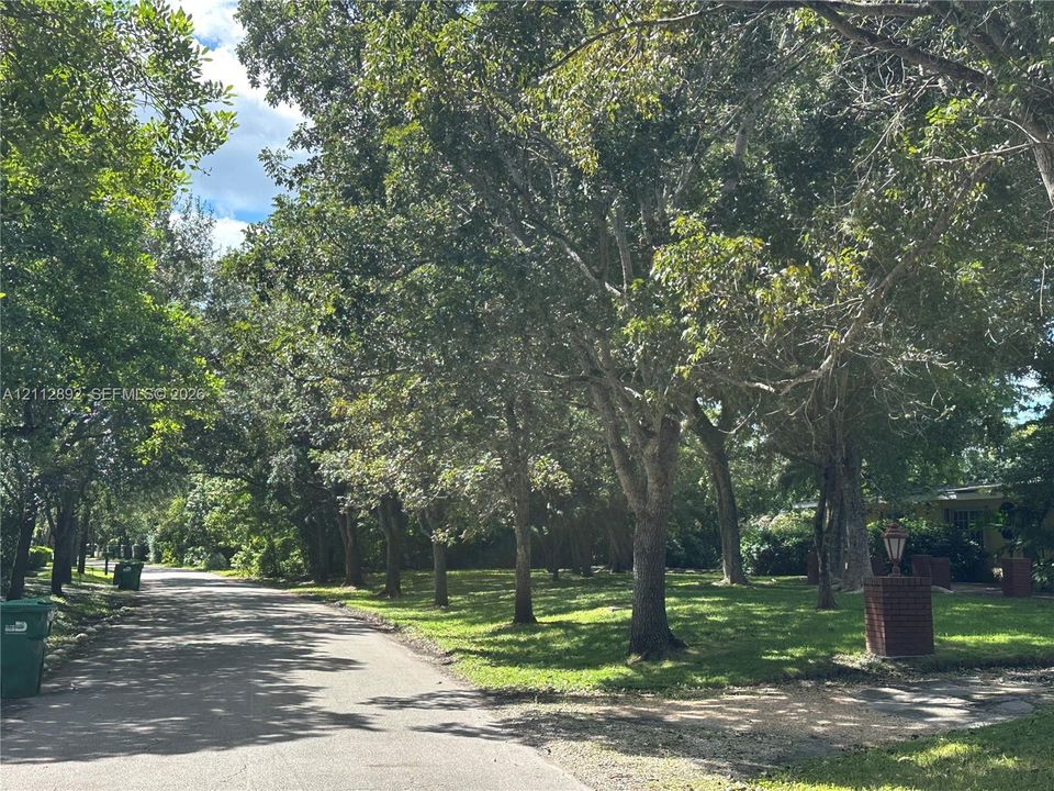 Tree-lined lot featuring mature canopy trees and expansive grass lawn