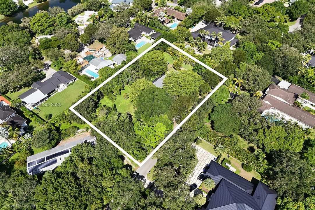 Aerial perspective of a sprawling lot featuring mature tree canopy, dense perimeter landscaping, and established greenery