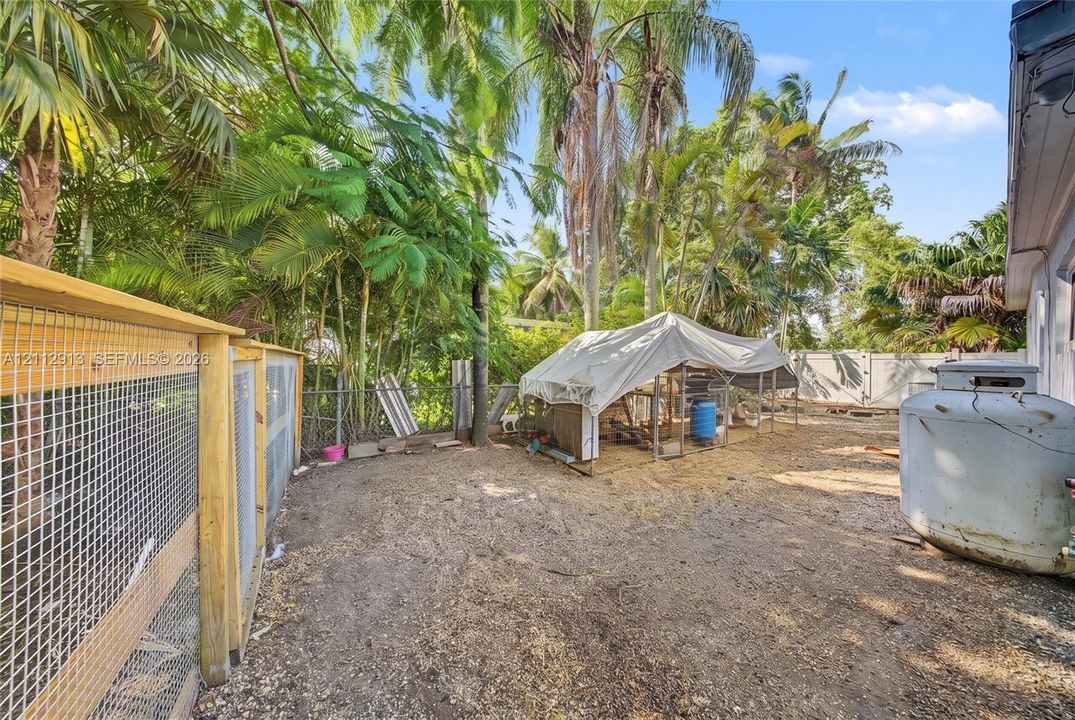 Outdoor space featuring mature palm trees, wood-frame wire fencing, and white vinyl perimeter fencing