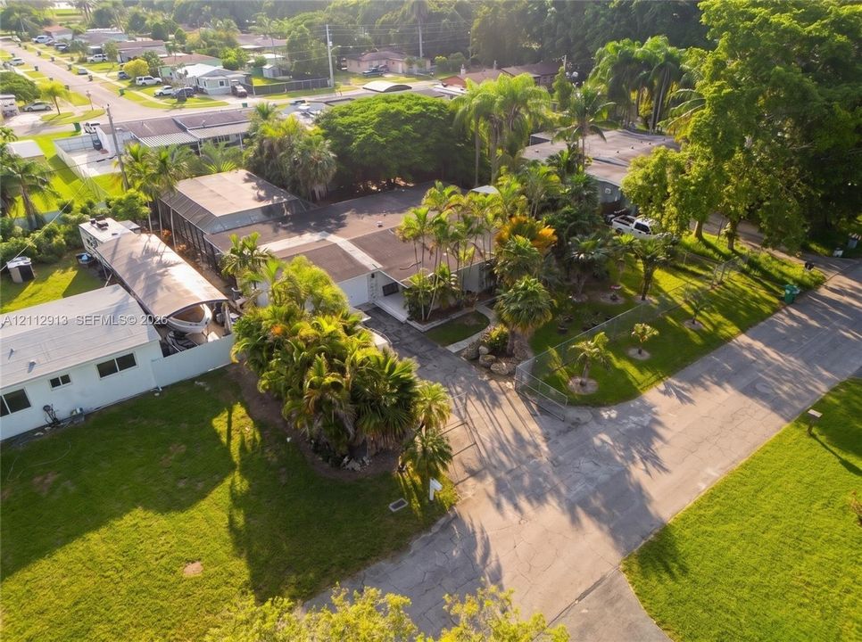 Aerial perspective featuring a single-story residence with a covered patio, extensive mature landscaping, palm trees, and a concrete driveway