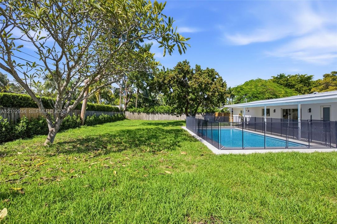 Backyard featuring an in-ground swimming pool with protective metal fencing, concrete decking, mature trees, and perimeter wood fencing