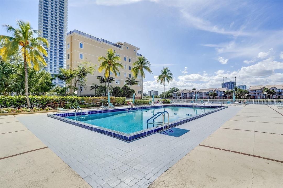 Rectangular swimming pool with blue tile border, surrounded by a paved deck, mature palm trees, and landscaped hedging
