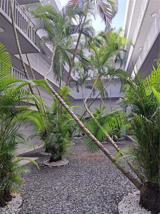 Open-air central courtyard featuring mature palm trees, decorative gravel ground cover, white stone borders, and multi-level railings