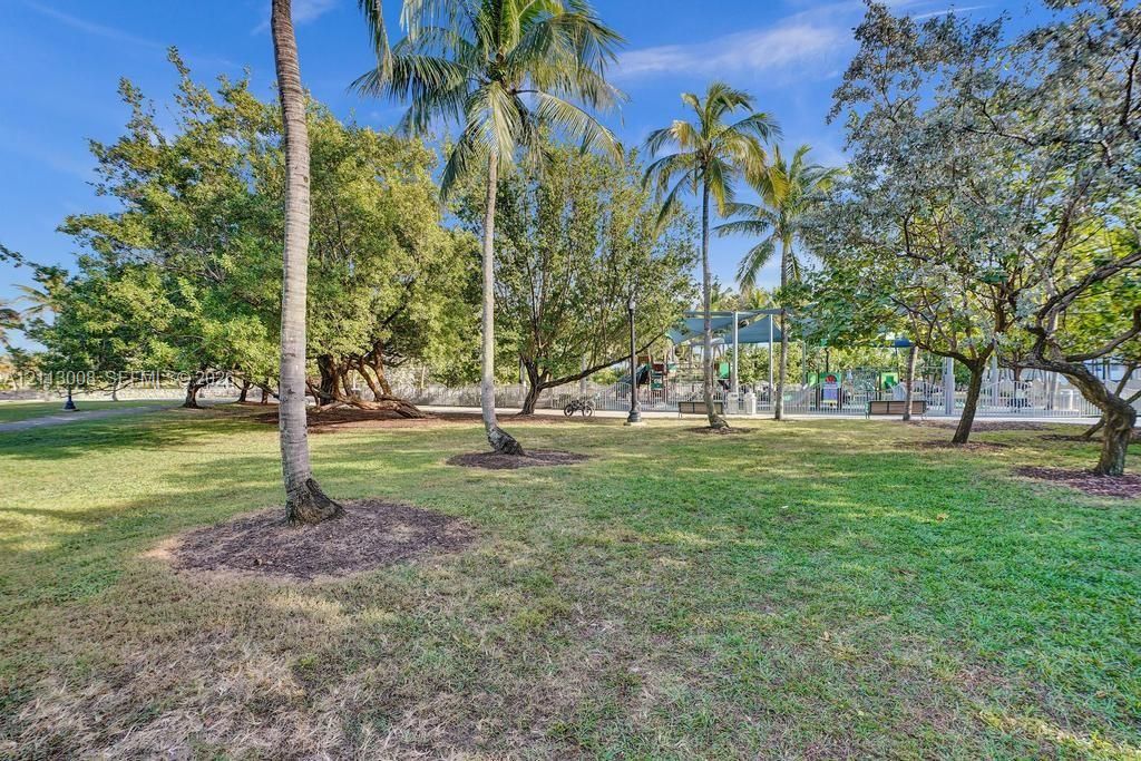 Expansive green space featuring mature trees and established palms