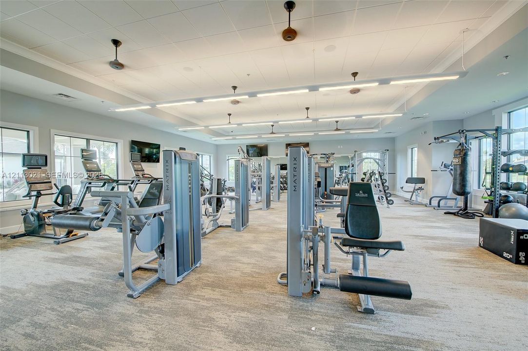 Fitness center featuring linear LED overhead lighting, drop ceiling panels, multi-tonal carpeting, and an array of weight-training and cardio equipment