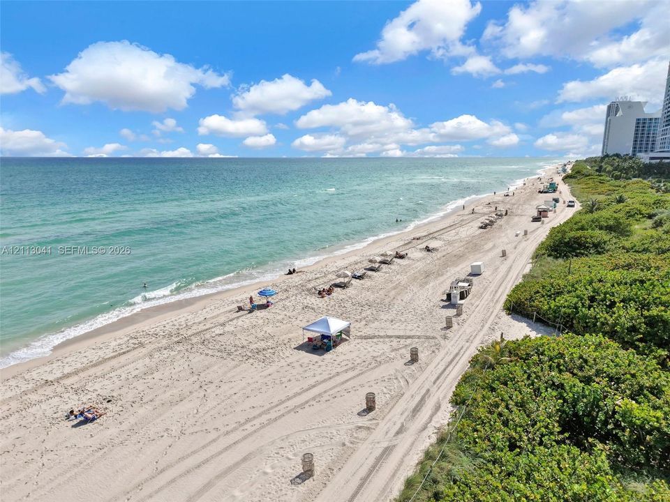 Direct oceanfront access featuring expansive sandy shoreline, turquoise water, and mature coastal vegetation