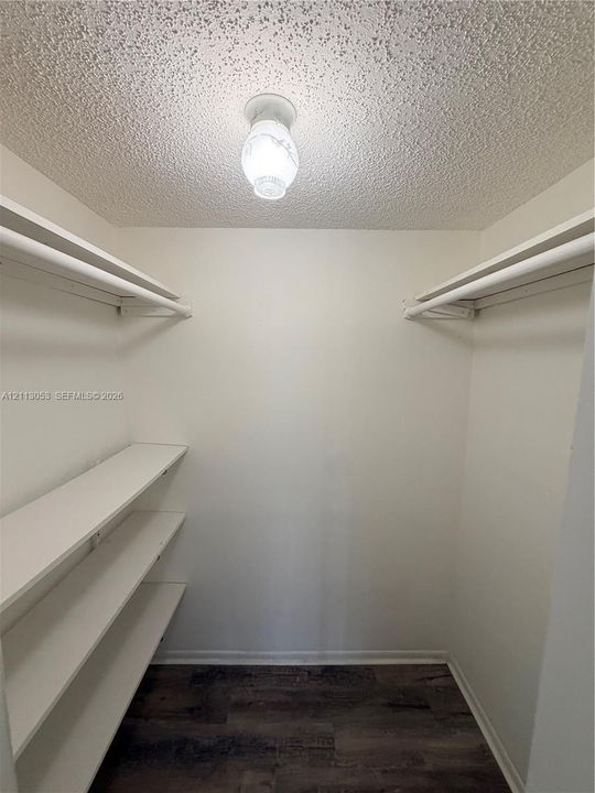 Walk-in closet featuring wood-finish flooring, built-in shelving, dual hanging rods, and a ceiling-mounted light fixture