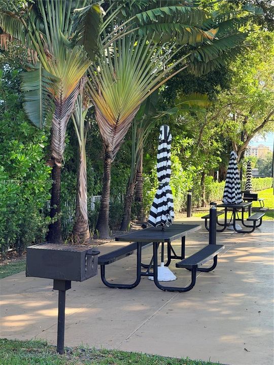 Outdoor recreation area featuring a concrete patio, anchored charcoal grills, and built-in metal picnic tables shaded by mature palm trees and natural greenery