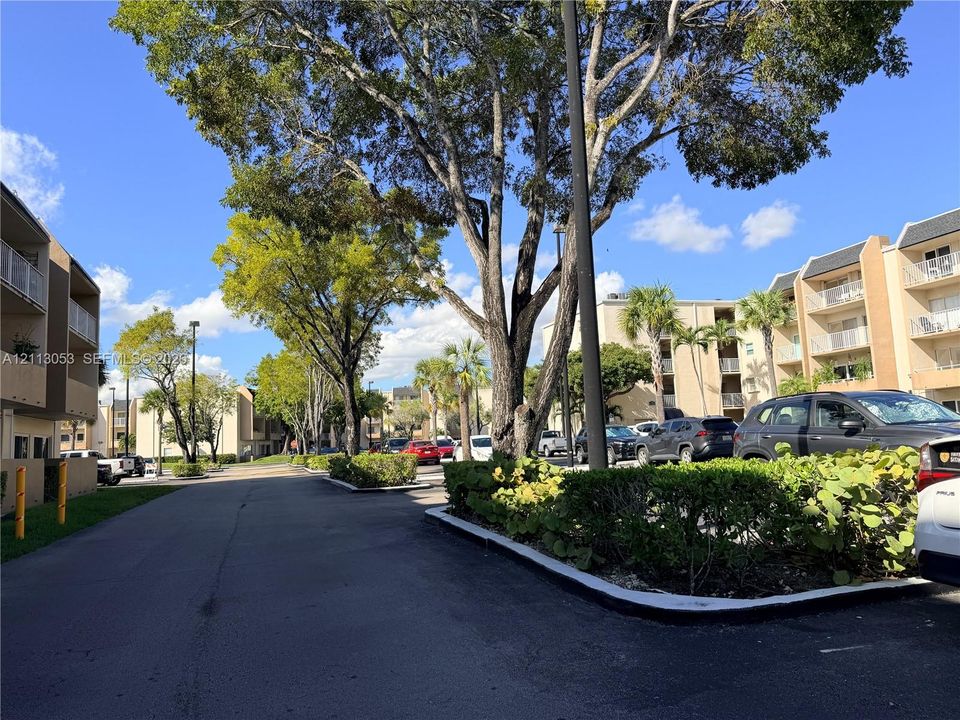 Asphalt access drive featuring mature trees, landscaped shrubbery, and multi-story building exteriors with attached private balconies