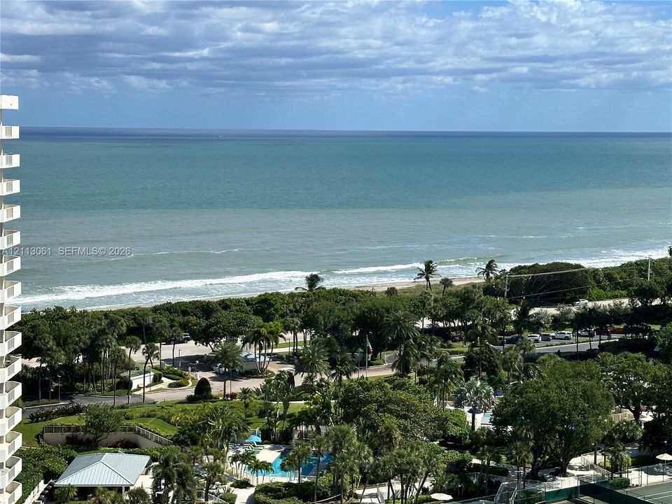 Oceanfront panorama featuring an expansive coastline, mature palm trees, dense coastal vegetation, and a private swimming pool