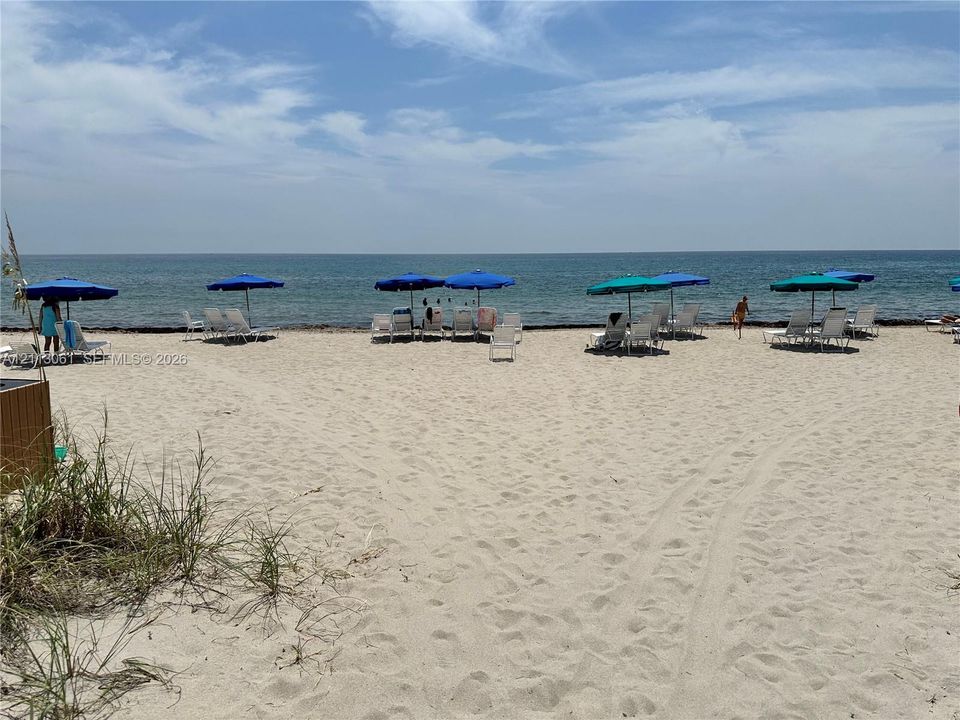 Sandy beach frontage featuring native dune grasses and direct access to the ocean