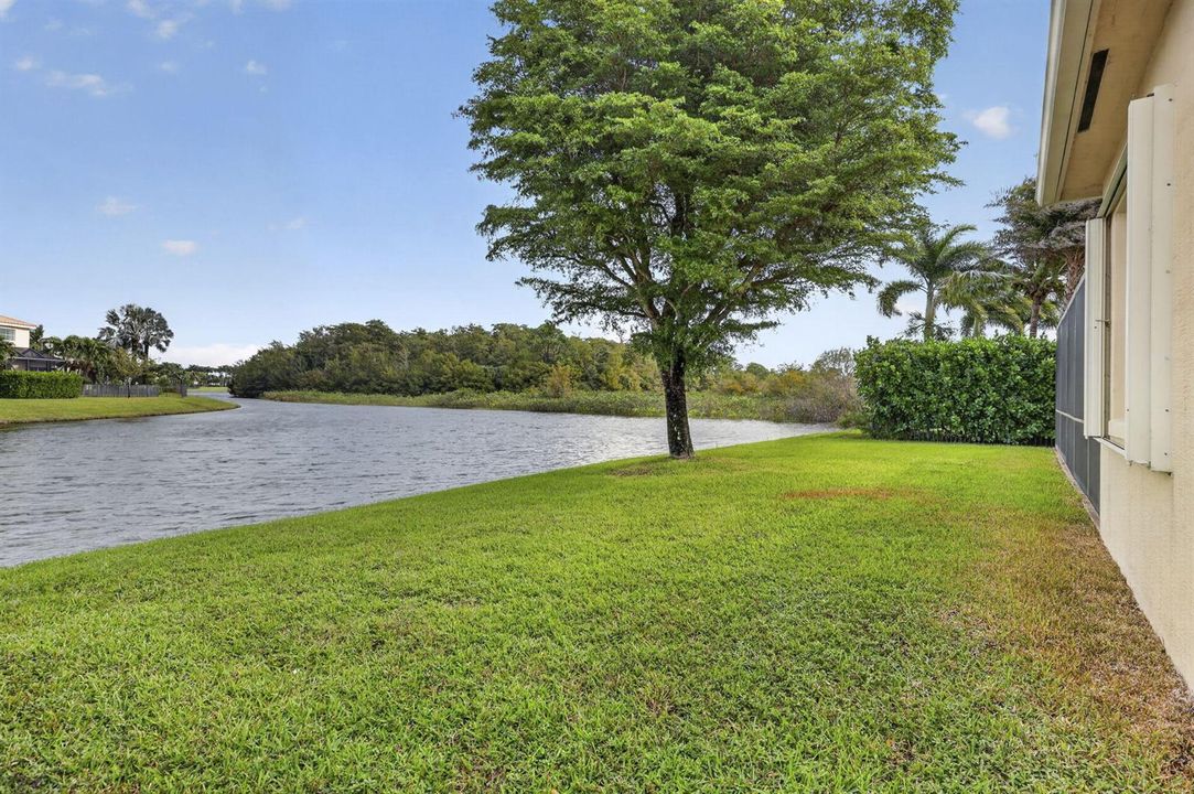 55-web-or-mls-BS1A1306