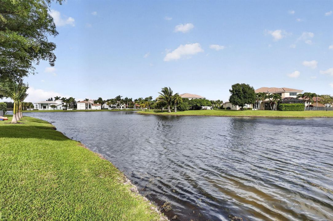 52-web-or-mls-BS1A1291