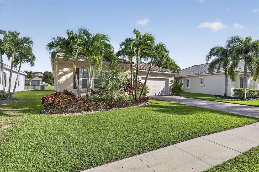 4-web-or-mls-BS1A1036