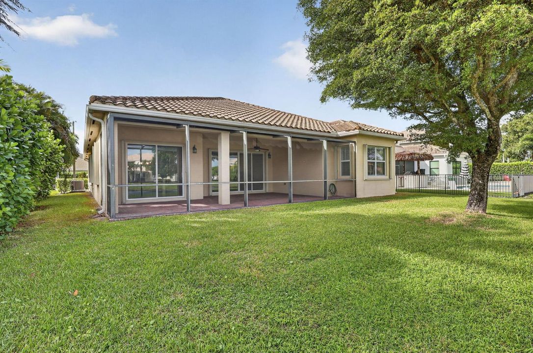 53-web-or-mls-BS1A1298