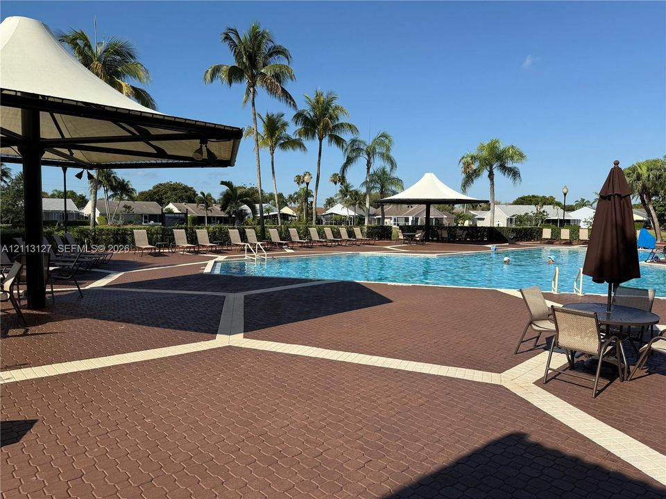 Swimming pool with a paved deck, permanent shade structures, and mature palm trees
