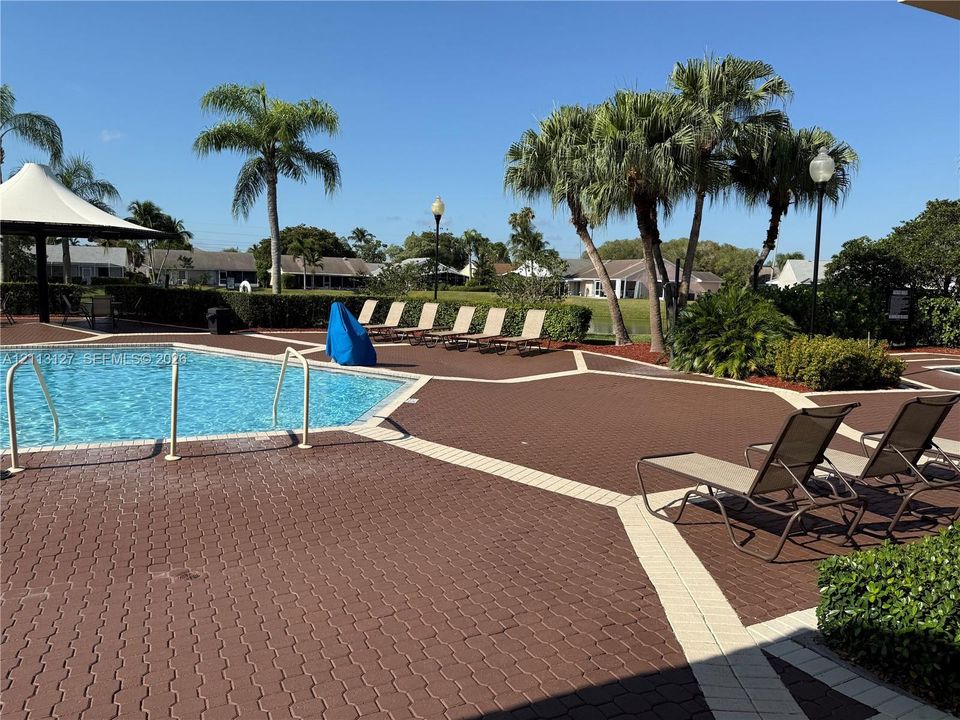 In-ground swimming pool featuring a geometric paver deck, covered shade structure, and mature palm landscaping