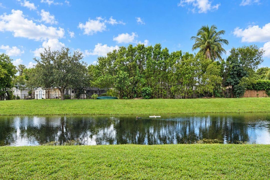 Waterfront backyard featuring a manicured lawn, mature trees, palm trees, and a wooden fence