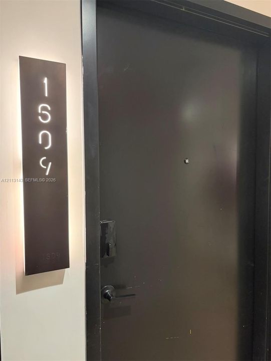 Solid core door featuring a matte black finish, lever-style handle, integrated peephole, and an illuminated vertical address plaque