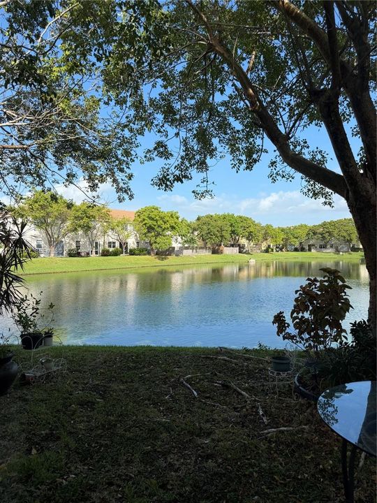 Waterfront backyard featuring a manicured lawn, mature trees, and a pond