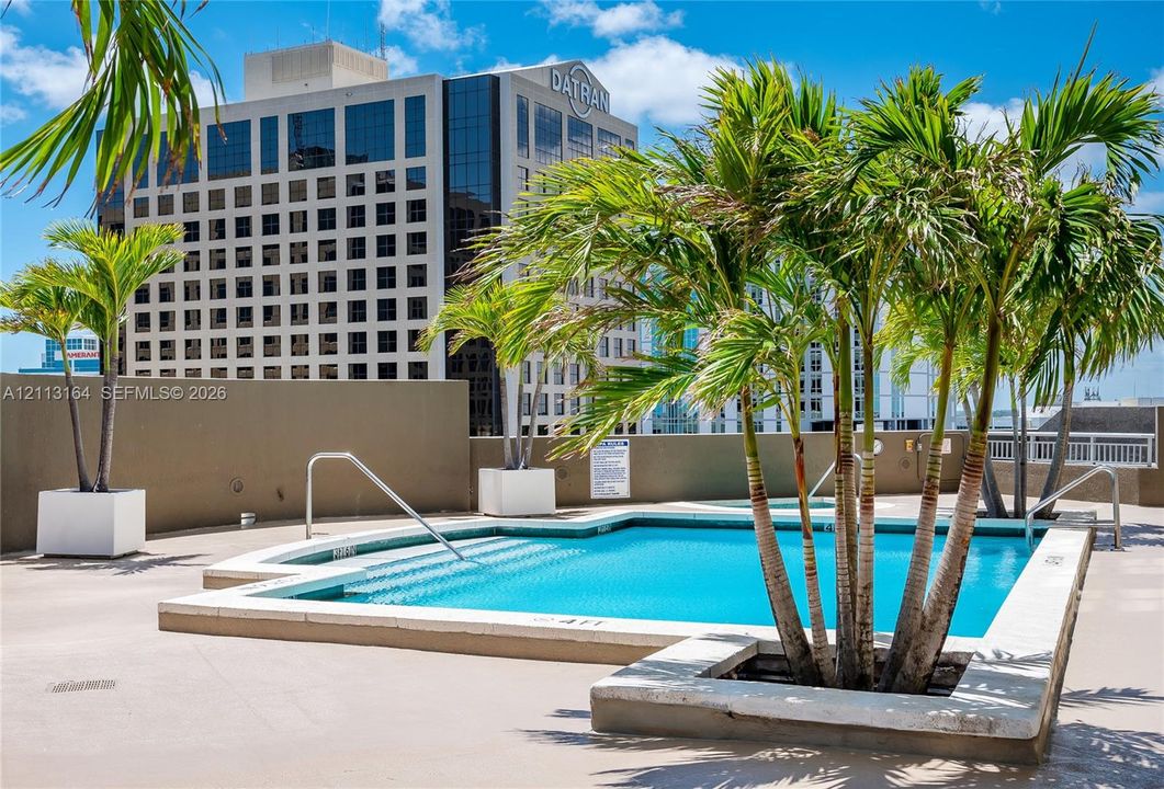 Rooftop pool featuring integrated stairs, concrete decking, built-in planters with palm trees, and perimeter privacy walls