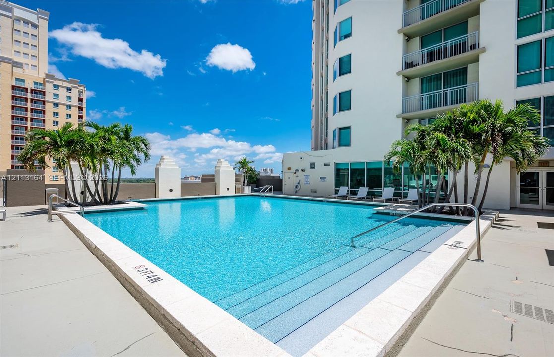 Outdoor swimming pool featuring a concrete deck, built-in entry steps, stainless steel handrails, and mature palm trees