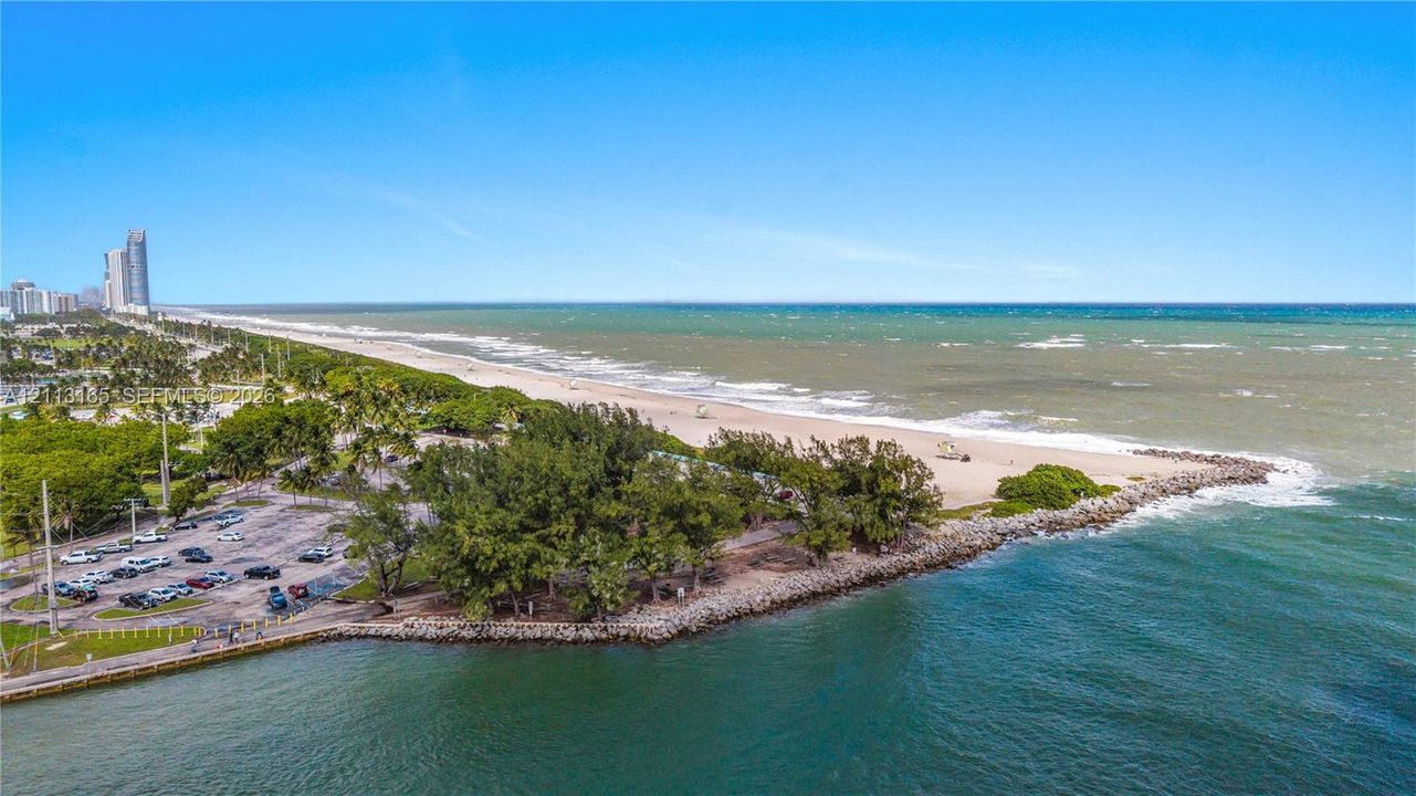 Coastal aerial perspective featuring an expansive sandy shoreline, ocean waterfront, and mature tree-lined landscape