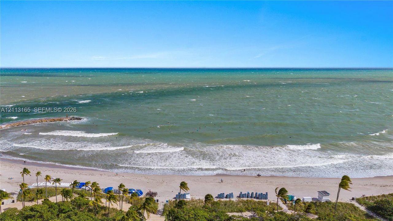 Direct oceanfront setting with expansive sandy beach, coastal shoreline, and tropical palm landscaping