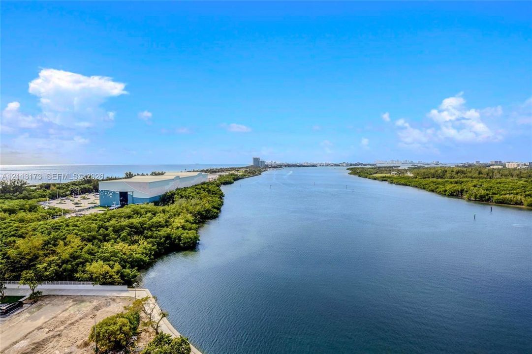 Aerial perspective featuring expansive open water, dense coastal vegetation, and a wide horizon