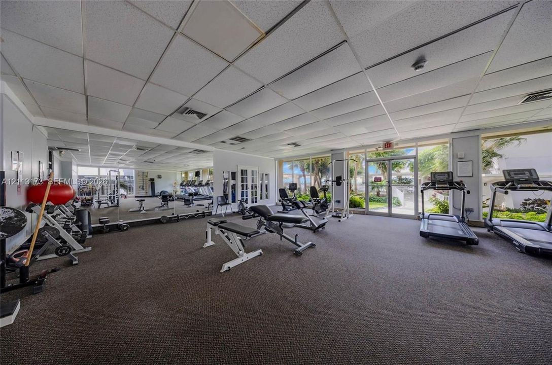 Fitness center featuring wall-to-wall mirrors, recessed drop-ceiling grid, carpeted flooring, and floor-to-ceiling windows with external landscape access