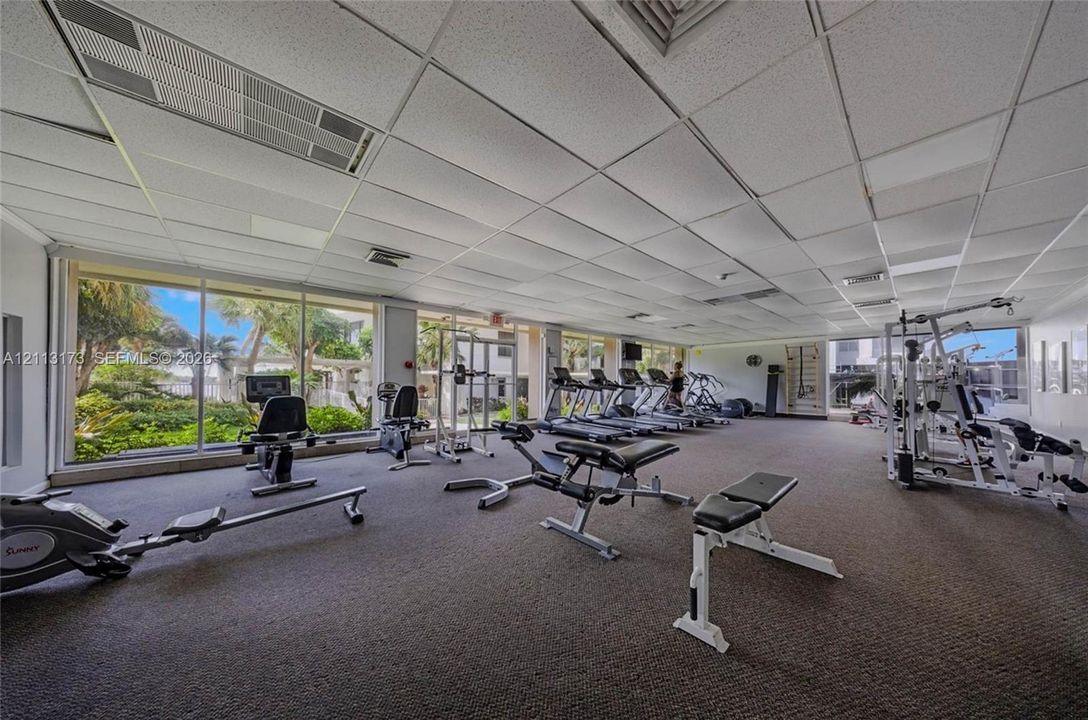 Fitness room featuring expansive floor-to-ceiling windows, carpeting, and a drop ceiling