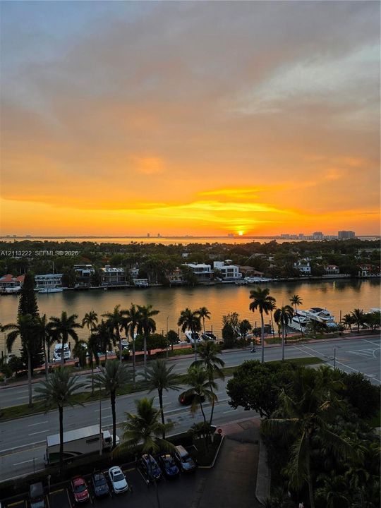Elevated panorama featuring sunset sky, expansive waterway, and tropical palm tree scenery