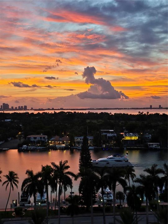 Waterfront horizon featuring a deep-water canal, private boat slips, mature palm trees, and a distant cityscape under a sunset sky