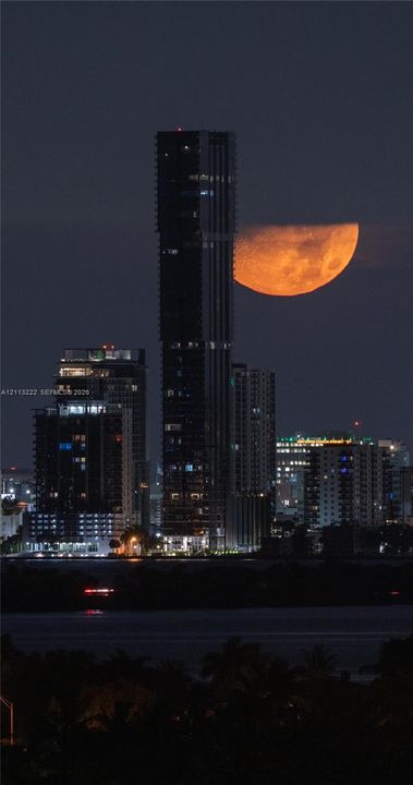 High-rise residential tower featuring a glass and steel facade with a prominent moonlit backdrop