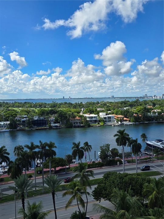 Expansive water backdrop featuring a coastal canal, mature palm trees, and horizon skylines