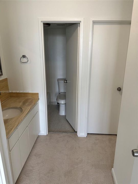 Vanity area featuring a solid-surface countertop with an integrated basin, white cabinetry, wall-mounted metal towel ring, and neutral carpeting
