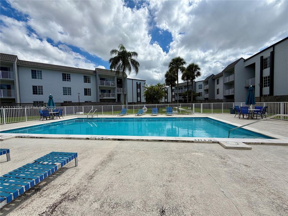 Outdoor swimming pool featuring a concrete deck, white perimeter fencing, and mature palm trees
