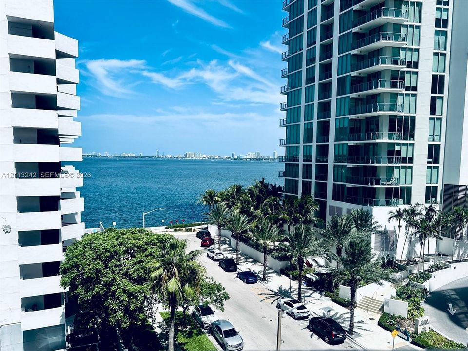 High-rise urban landscape featuring floor-to-ceiling glass paneling, concrete exterior balconies, mature palm trees, and water frontage