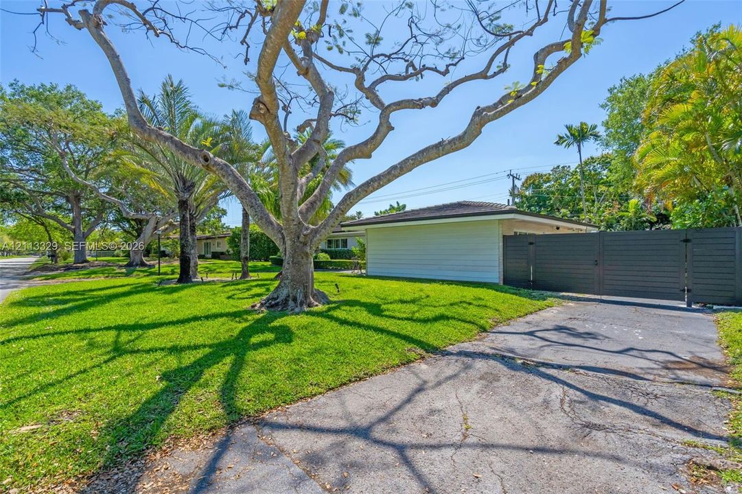Expansive grass lawn featuring mature trees, horizontal exterior siding, and a dark-toned privacy fence