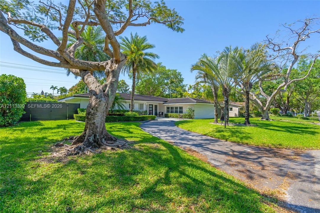 Single-story residence featuring a low-slope roofline, light-toned exterior finish, asphalt driveway, and mature landscaping with established trees and palm specimens