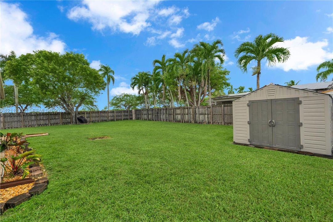 Expansive backyard featuring a manicured lawn, full-perimeter wood fencing, mature palm trees, and an exterior storage shed