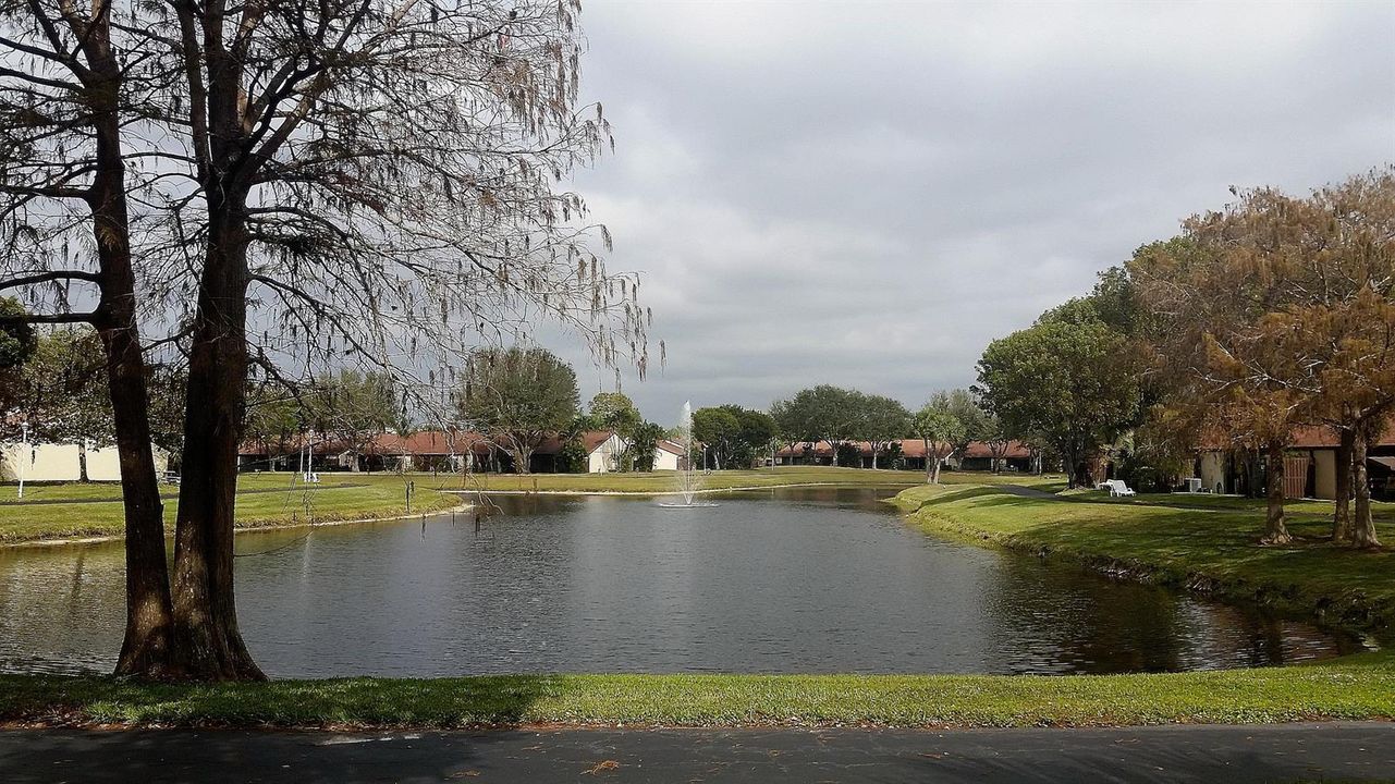 Palm Club Community Lake