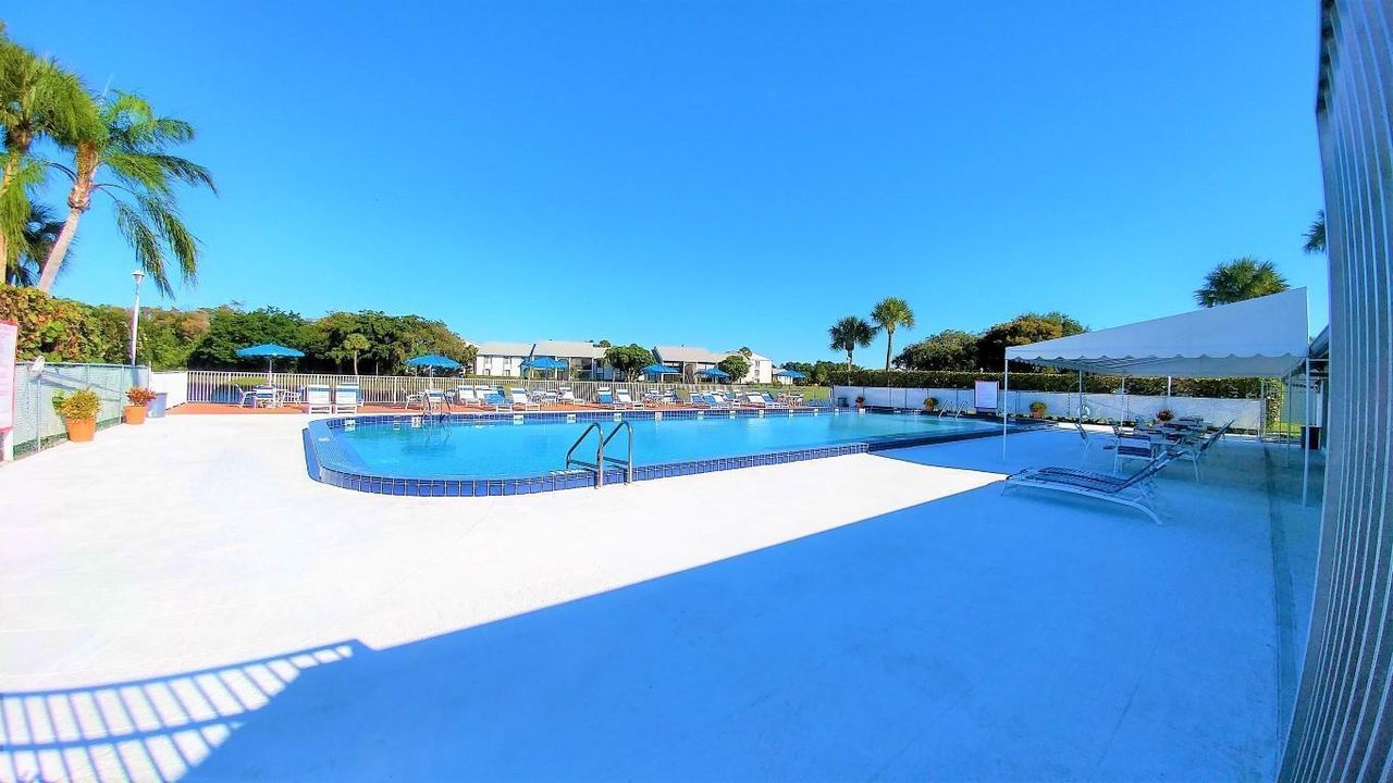 Palm Club Community Pool 2